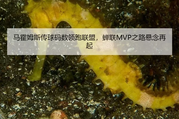 ma-huo-mu-si-chuan-qiu-ma-shu-ling-pao-lian-meng-chan-lian-zhi-lu-xuan-nian-zai-qi-2-383.jpg