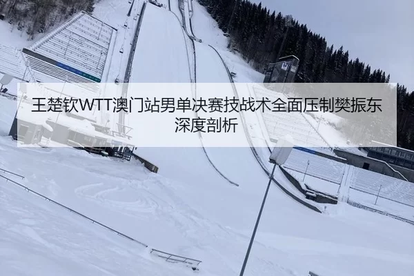 wang-chu-qin-ao-men-zhan-nan-dan-jue-sai-ji-zhan-shu-quan-mian-ya-zhi-fan-zhen-dong-shen-du-pou-xi-3-907.jpg