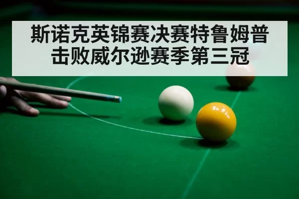 斯诺克英锦赛决赛特鲁姆普击败威尔逊赛季第三冠