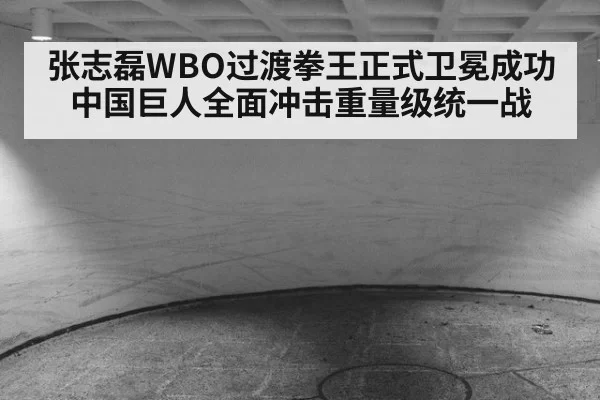 张志磊WBO过渡拳王正式卫冕成功中国巨人全面冲击重量级统一战