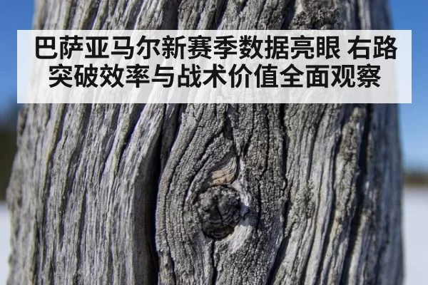 巴萨亚马尔新赛季数据亮眼 右路突破效率与战术价值全面观察